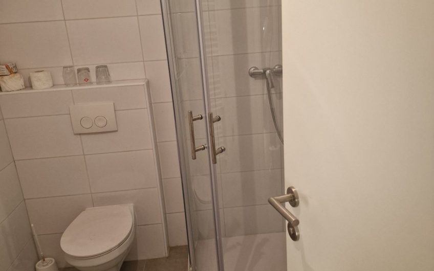 Kuća Jarun 300m2, sa 4 stambene jedinice